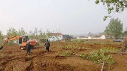 国家基本农田种植规定 知法犯法或将面临严厉处罚