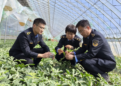 辽宁省植保植检总站组织开展植物检疫保种护农行动，助力农作物苗木安全